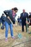 Yeni Azərbaycan Partiyası tərəfindən partiyanın yaranmasının 25 illiyi ilə əlaqədar ağacəkmə aksiyası keçirilib (FOTO)