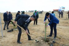 Yeni Azərbaycan Partiyası tərəfindən partiyanın yaranmasının 25 illiyi ilə əlaqədar ağacəkmə aksiyası keçirilib (FOTO)