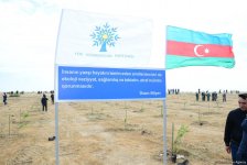 Yeni Azərbaycan Partiyası tərəfindən partiyanın yaranmasının 25 illiyi ilə əlaqədar ağacəkmə aksiyası keçirilib (FOTO)