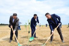 Yeni Azərbaycan Partiyası tərəfindən partiyanın yaranmasının 25 illiyi ilə əlaqədar ağacəkmə aksiyası keçirilib (FOTO)