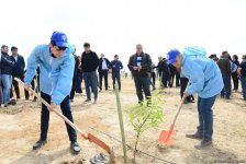 Yeni Azərbaycan Partiyası tərəfindən partiyanın yaranmasının 25 illiyi ilə əlaqədar ağacəkmə aksiyası keçirilib (FOTO)