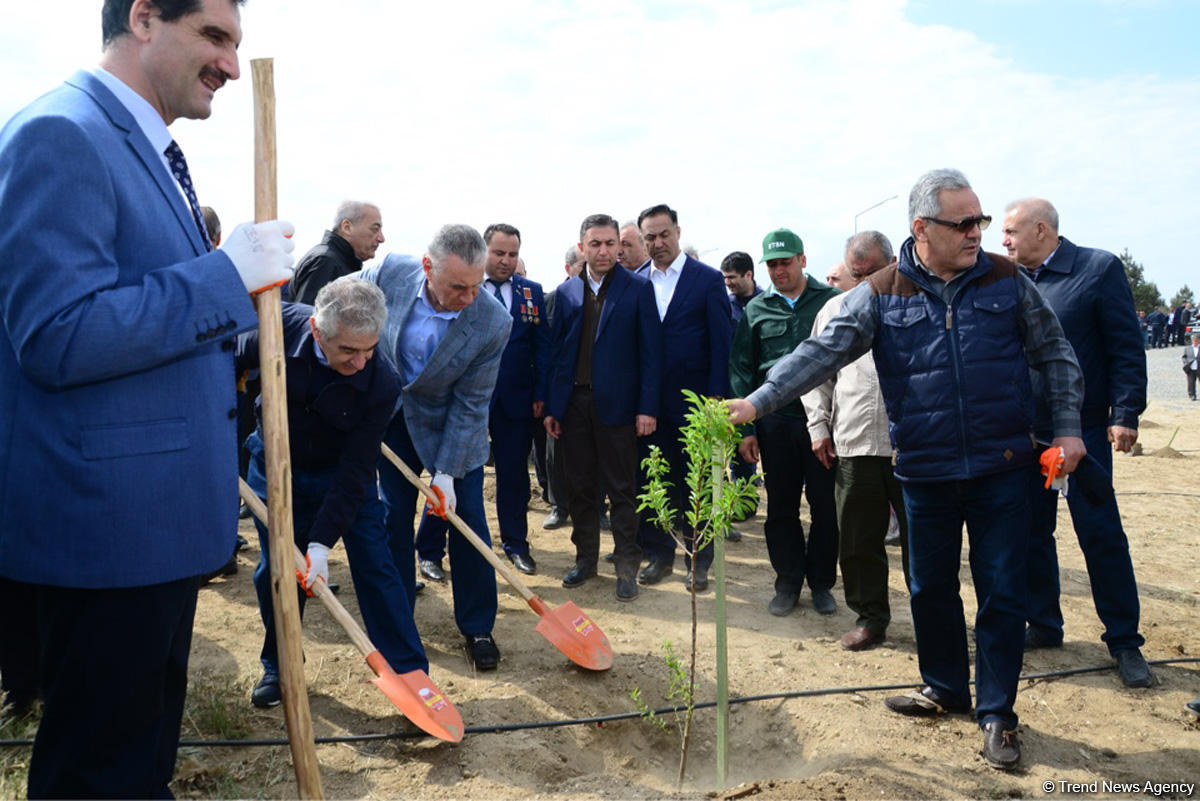Yeni Azərbaycan Partiyası tərəfindən partiyanın yaranmasının 25 illiyi ilə əlaqədar ağacəkmə aksiyası keçirilib (FOTO)