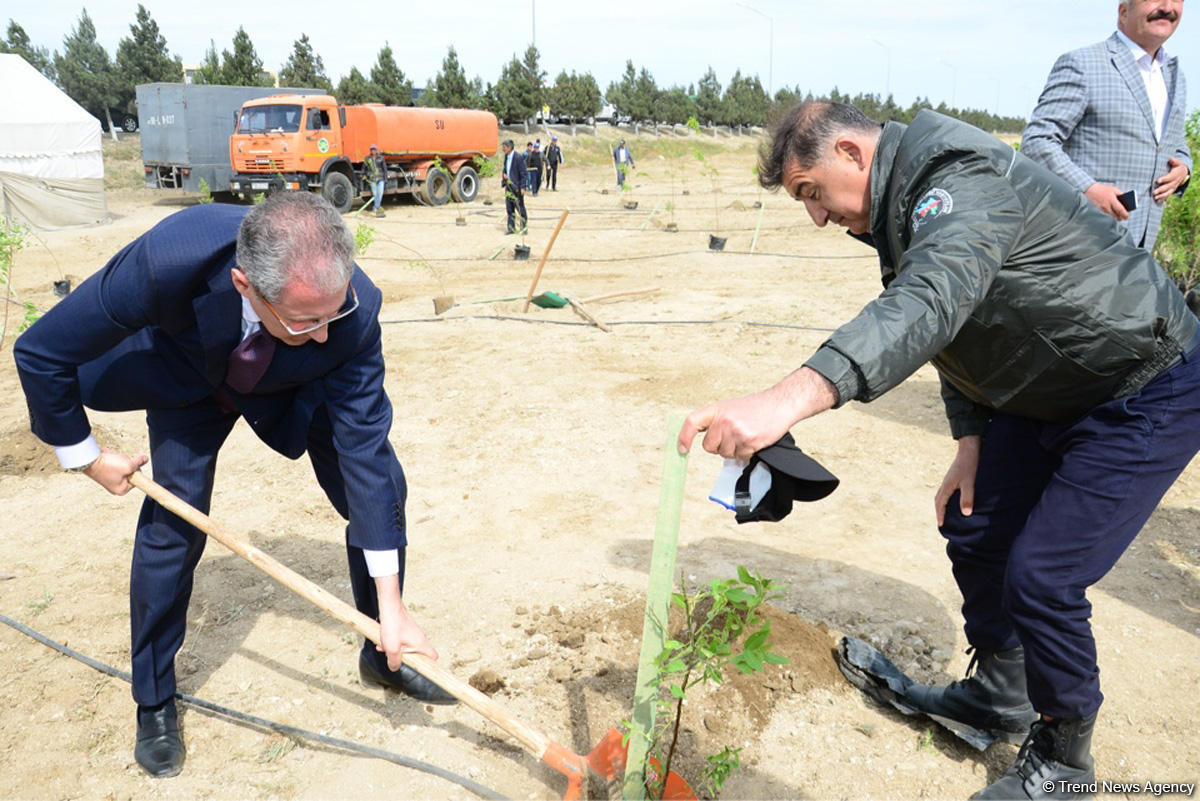 Yeni Azərbaycan Partiyası tərəfindən partiyanın yaranmasının 25 illiyi ilə əlaqədar ağacəkmə aksiyası keçirilib (FOTO)