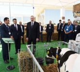 Prezident İlham Əliyev XXIV Azərbaycan Beynəlxalq Qida Sənayesi və XII Azərbaycan Beynəlxalq Kənd Təsərrüfatı sərgiləri ilə tanış olub (YENİLƏNİB -2)