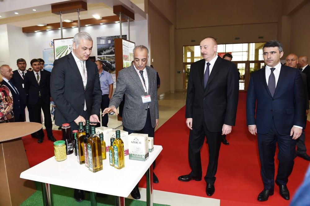 Prezident İlham Əliyev XXIV Azərbaycan Beynəlxalq Qida Sənayesi və XII Azərbaycan Beynəlxalq Kənd Təsərrüfatı sərgiləri ilə tanış olub (YENİLƏNİB -2)