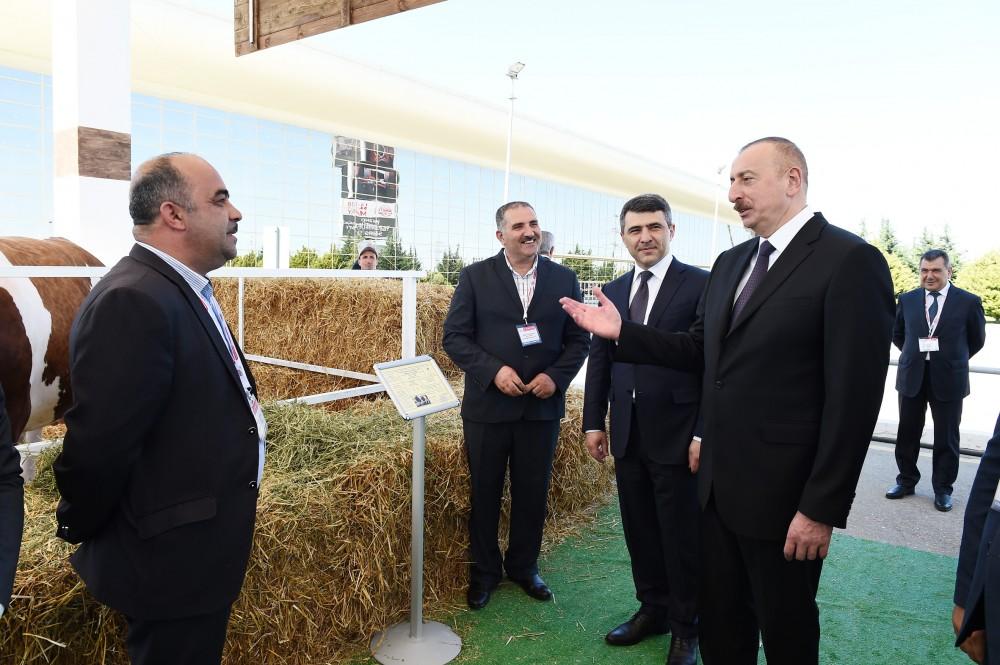 Prezident İlham Əliyev XXIV Azərbaycan Beynəlxalq Qida Sənayesi və XII Azərbaycan Beynəlxalq Kənd Təsərrüfatı sərgiləri ilə tanış olub (YENİLƏNİB -2)