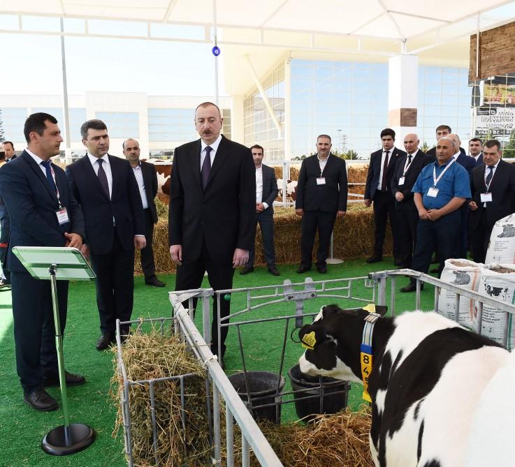 Prezident İlham Əliyev XXIV Azərbaycan Beynəlxalq Qida Sənayesi və XII Azərbaycan Beynəlxalq Kənd Təsərrüfatı sərgiləri ilə tanış olub (YENİLƏNİB -2)