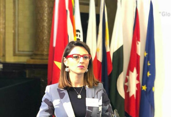 Asiya-Avropa Siyasi Forumunda Azərbaycanın mədəniyyətlərarası dialoqun təşviqindəki rolundan bəhs edilib (FOTO)