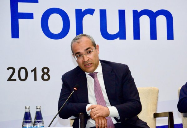 Mikayıl Cabbarov: Qanunvericilikdə islahatlar bu problemlərin həllinə yönələcək