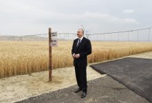 Prezident İlham Əliyev Goranboyda “Region Agro” MMC-nin açılışında iştirak edib (FOTO) (YENİLƏNİB-2)