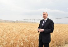 Prezident İlham Əliyev Goranboyda “Region Agro” MMC-nin açılışında iştirak edib (FOTO) (YENİLƏNİB-2)