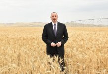 Prezident İlham Əliyev Goranboyda “Region Agro” MMC-nin açılışında iştirak edib (FOTO) (YENİLƏNİB-2)