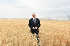 Prezident İlham Əliyev Goranboyda “Region Agro” MMC-nin açılışında iştirak edib (FOTO) (YENİLƏNİB-2)