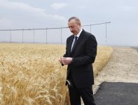 Prezident İlham Əliyev Goranboyda “Region Agro” MMC-nin açılışında iştirak edib (FOTO) (YENİLƏNİB-2)