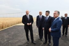 Prezident İlham Əliyev Goranboyda “Region Agro” MMC-nin açılışında iştirak edib (FOTO) (YENİLƏNİB-2)