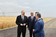 Prezident İlham Əliyev Goranboyda “Region Agro” MMC-nin açılışında iştirak edib (FOTO) (YENİLƏNİB-2)