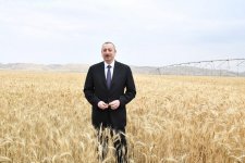 Prezident İlham Əliyev Goranboyda “Region Agro” MMC-nin açılışında iştirak edib (FOTO) (YENİLƏNİB-2)