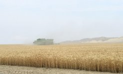 Prezident İlham Əliyev Goranboyda “Region Agro” MMC-nin açılışında iştirak edib (FOTO) (YENİLƏNİB-2)
