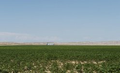 Prezident İlham Əliyev Goranboyda “Region Agro” MMC-nin açılışında iştirak edib (FOTO) (YENİLƏNİB-2)
