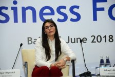 Nazir müavini: Son 5 ildə Aİ-nin Azərbaycan iqtisadiyyatına investisiyaları 15 milyard dolları ötüb (FOTO)
