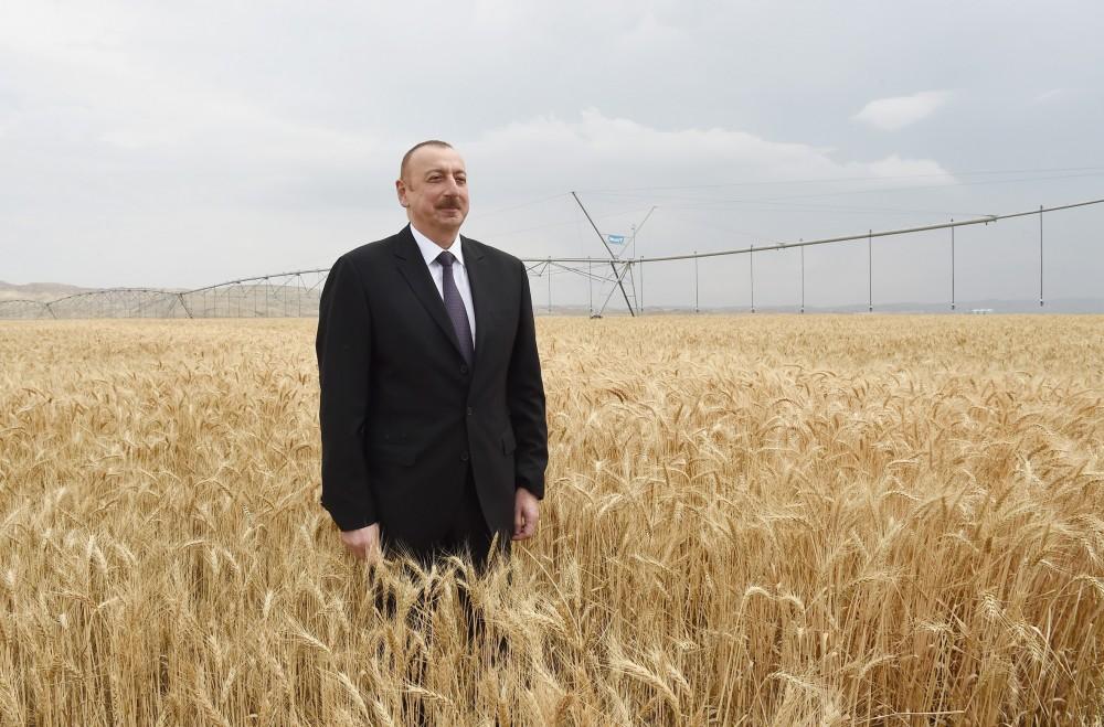 Prezident İlham Əliyev Goranboyda “Region Agro” MMC-nin açılışında iştirak edib (FOTO) (YENİLƏNİB-2)