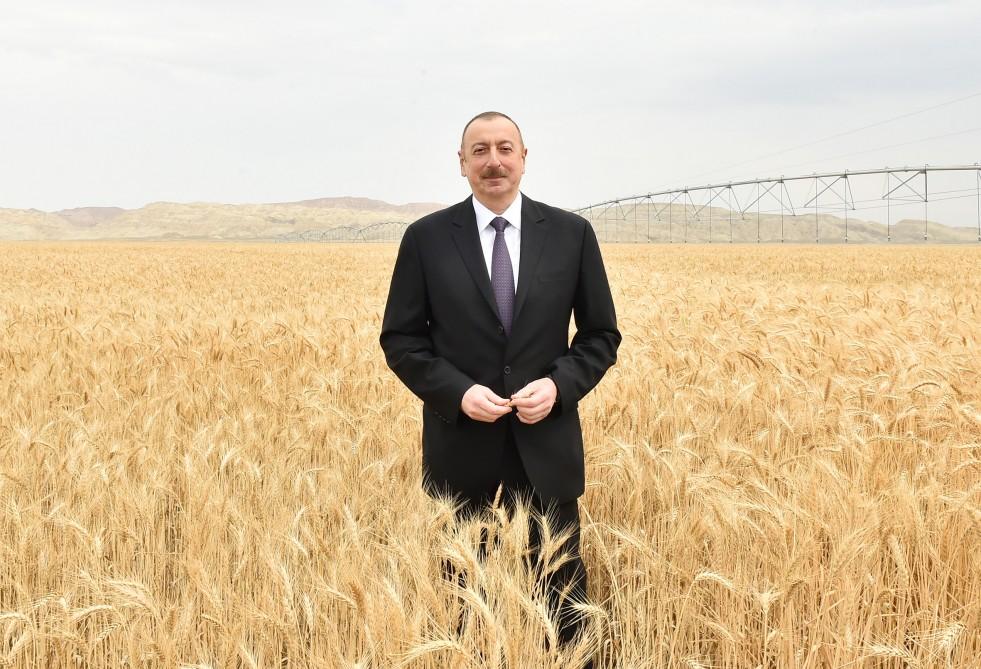 Prezident İlham Əliyev Goranboyda “Region Agro” MMC-nin açılışında iştirak edib (FOTO) (YENİLƏNİB-2)