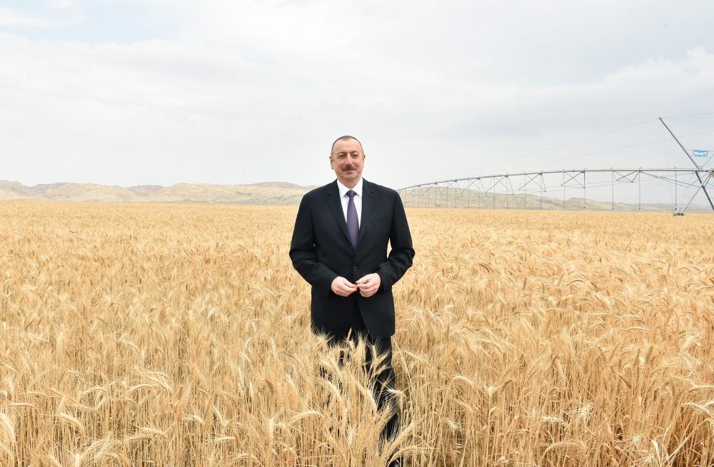 Prezident İlham Əliyev Goranboyda “Region Agro” MMC-nin açılışında iştirak edib (FOTO) (YENİLƏNİB-2)