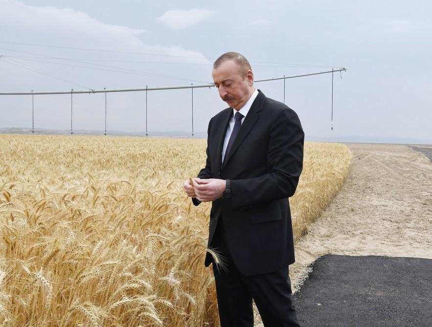 Prezident İlham Əliyev Goranboyda “Region Agro” MMC-nin açılışında iştirak edib (FOTO) (YENİLƏNİB-2)