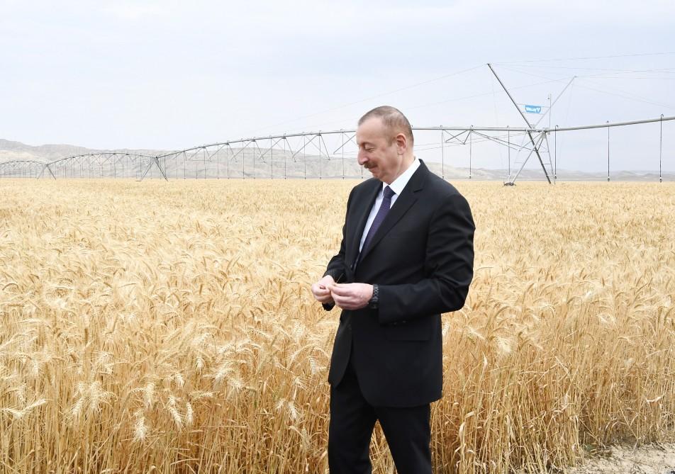 Prezident İlham Əliyev Goranboyda “Region Agro” MMC-nin açılışında iştirak edib (FOTO) (YENİLƏNİB-2)