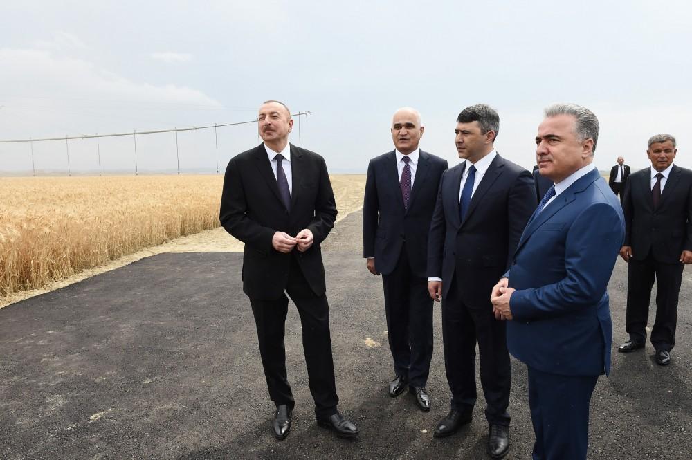 Prezident İlham Əliyev Goranboyda “Region Agro” MMC-nin açılışında iştirak edib (FOTO) (YENİLƏNİB-2)
