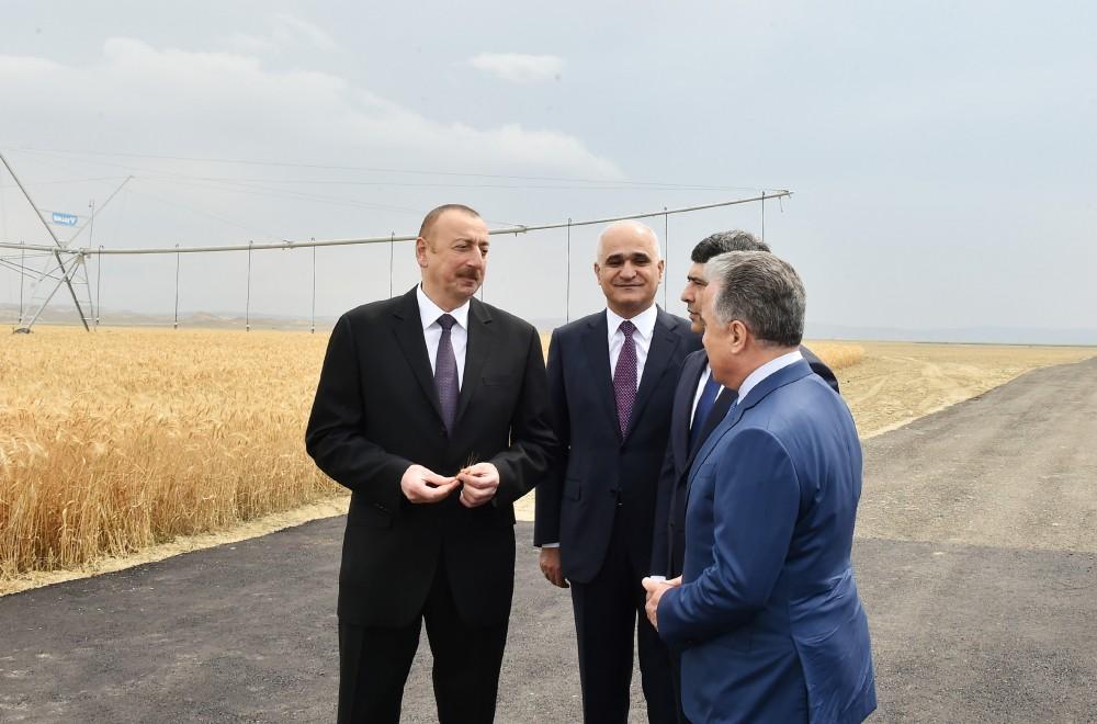 Prezident İlham Əliyev Goranboyda “Region Agro” MMC-nin açılışında iştirak edib (FOTO) (YENİLƏNİB-2)