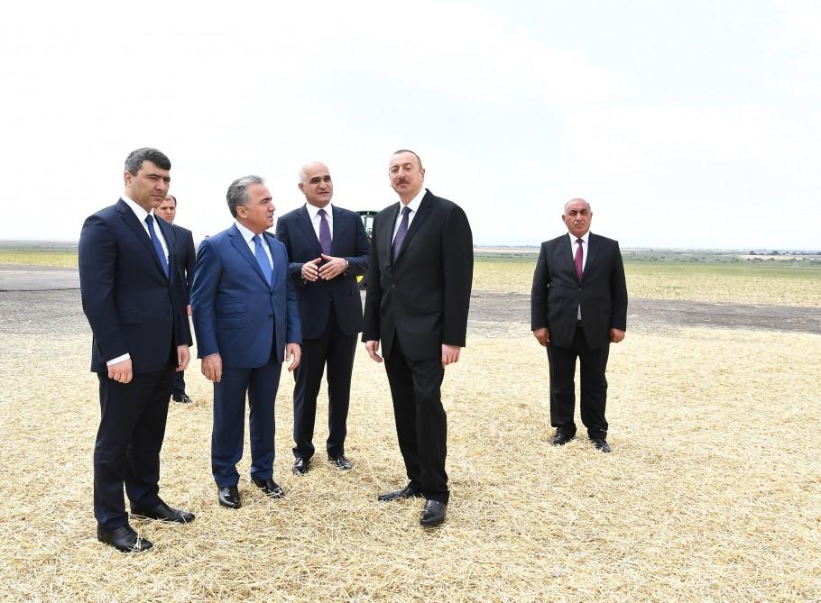 Prezident İlham Əliyev Goranboyda “Region Agro” MMC-nin açılışında iştirak edib (FOTO) (YENİLƏNİB-2)