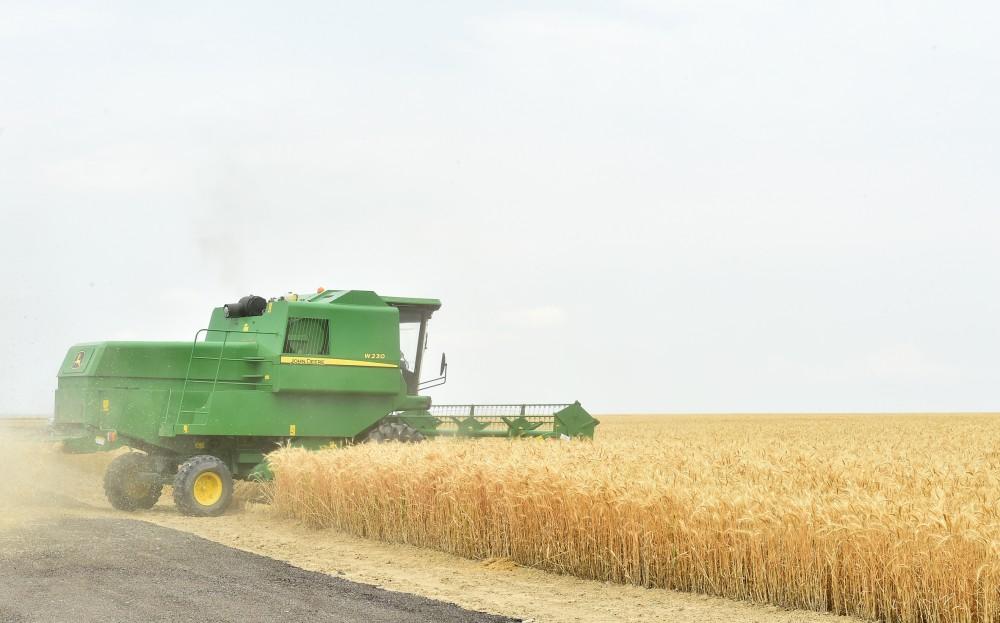 Prezident İlham Əliyev Goranboyda “Region Agro” MMC-nin açılışında iştirak edib (FOTO) (YENİLƏNİB-2)