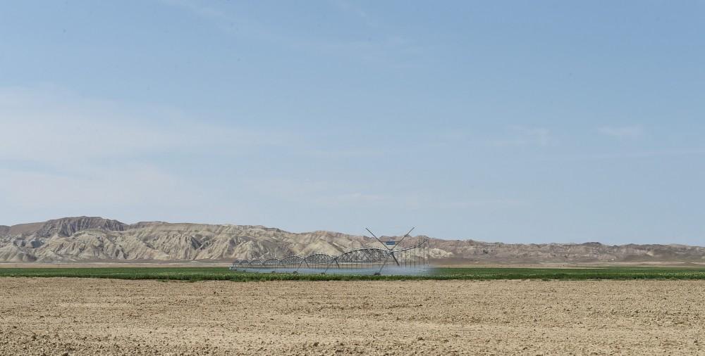 Prezident İlham Əliyev Goranboyda “Region Agro” MMC-nin açılışında iştirak edib (FOTO) (YENİLƏNİB-2)
