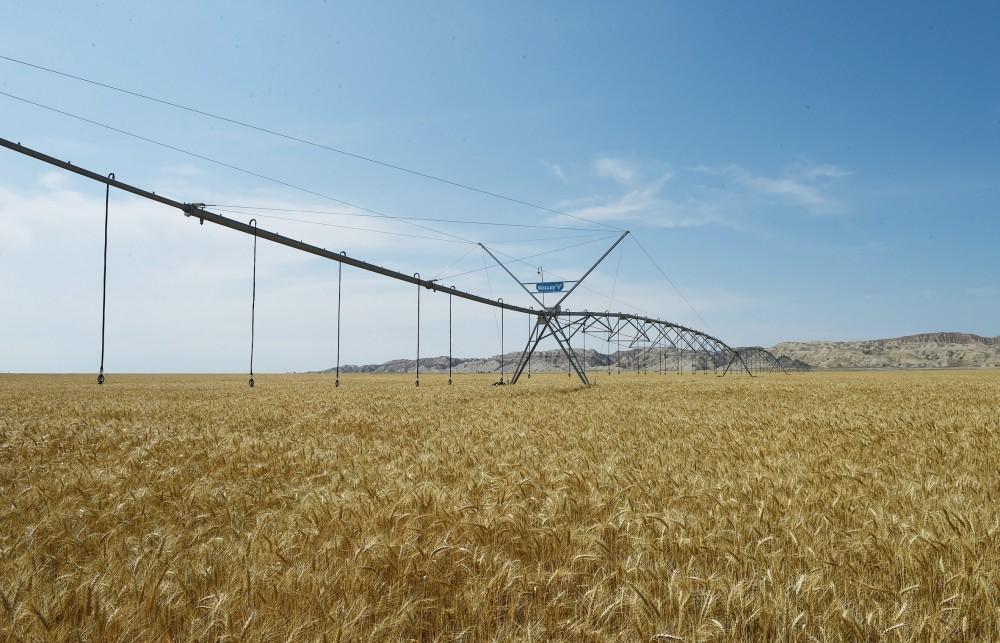 Prezident İlham Əliyev Goranboyda “Region Agro” MMC-nin açılışında iştirak edib (FOTO) (YENİLƏNİB-2)