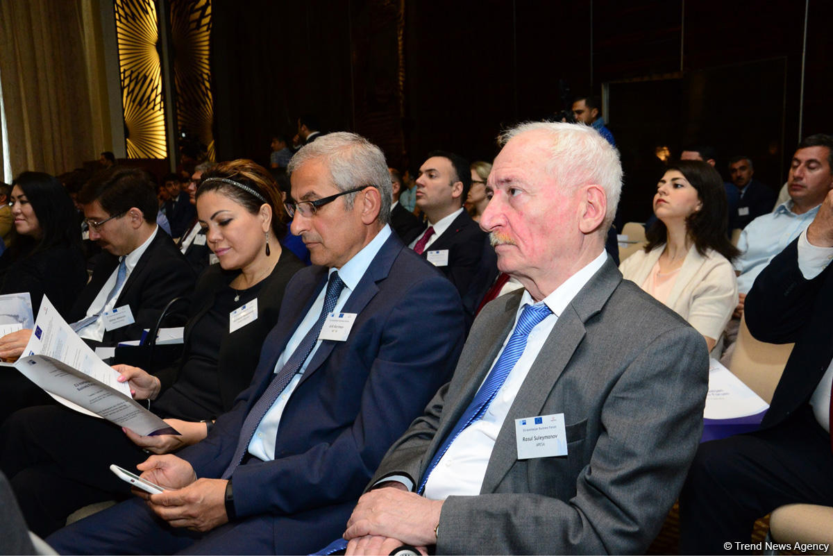 Nazir müavini: Son 5 ildə Aİ-nin Azərbaycan iqtisadiyyatına investisiyaları 15 milyard dolları ötüb (FOTO)