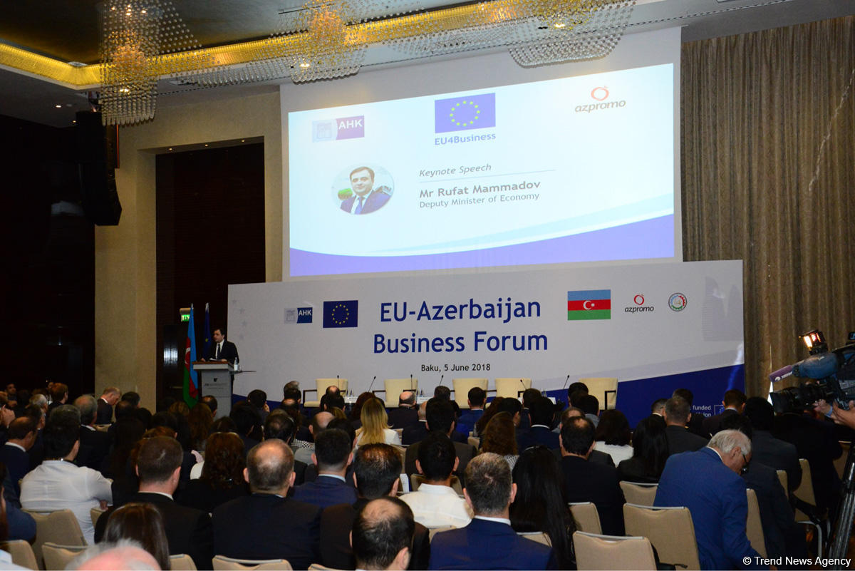 Nazir müavini: Son 5 ildə Aİ-nin Azərbaycan iqtisadiyyatına investisiyaları 15 milyard dolları ötüb (FOTO)