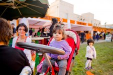 Summer Food Fest – uydurmular və həqiqət (FOTO)