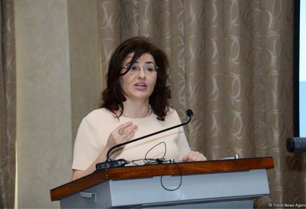 Nazir müavini: Azərbaycan torpaqlarının işğaldan azad edilməməsi regionda davamlı inkişafa mane olur
