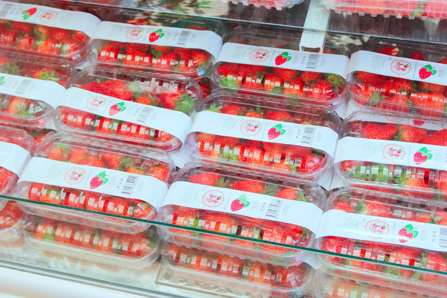 İçəri Şəhərdə Baku Summer Food Fest yemək festivalı başladı (FOTO)