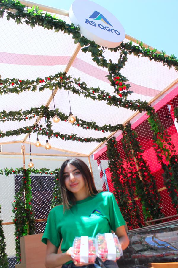 İçəri Şəhərdə Baku Summer Food Fest yemək festivalı başladı (FOTO)
