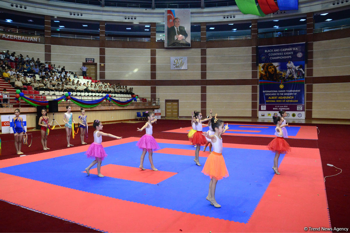 Milli Qəhrəman Albert Aqarunovun xatirəsinə həsr olunan beynəlxalq karate turniri keçirilir (FOTO)