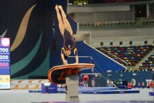 Yeniyetmələrin Olimpiya Oyunlarına idman gimnastikası üzrə təsnifat yarışlarından ən yaddaqalan məqamlar - FOTOSESSİYA