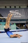 32 ölkədən olan gimnastlar Bakıda Yeniyetmələrin Olimpiya Oyunlarına vəsiqə uğrunda mübarizə aparır (FOTOREPORTAJ)
