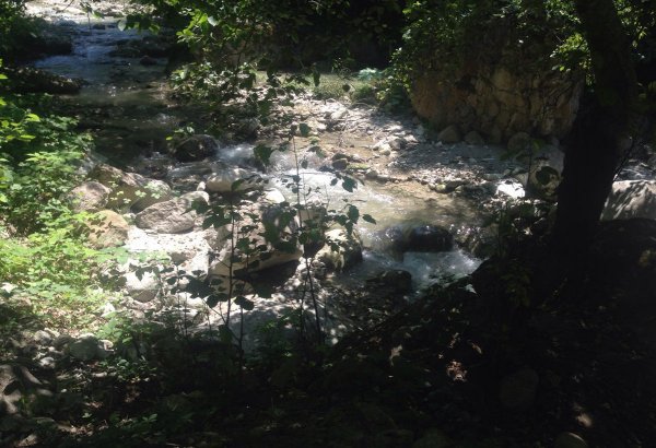 Cənubi Qafqazın ən böyük parkı haqqında (FOTO)