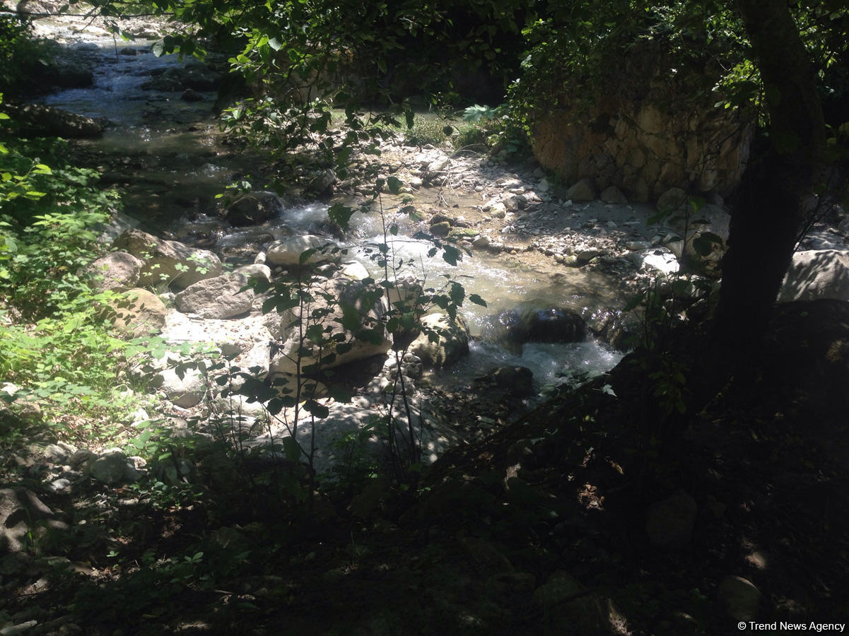 Cənubi Qafqazın ən böyük parkı haqqında (FOTO)