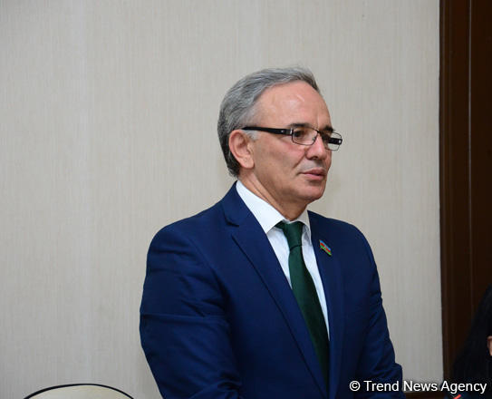 Əflatun Amaşov: Zatulinin mövqeyinə daha çox erməni lobbiçiliyi də demək mümkündür