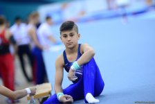İdman gimnastikası üzrə 25-ci Azərbaycan birinciliyi və Bakı çempionatına start verildi (FOTO)