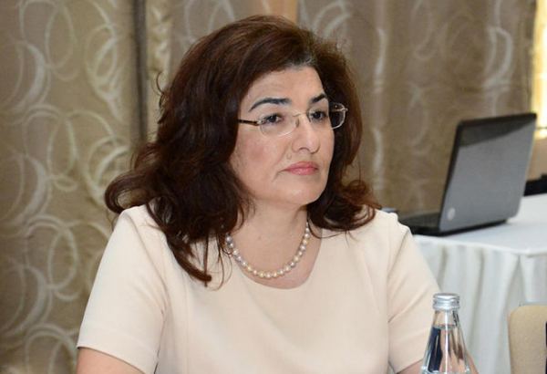 Sevinc Həsənova: Dövlət büdcəsində nəzərdə tutulan azalmaların əhaliyə heç bir təsiri olmayacaq