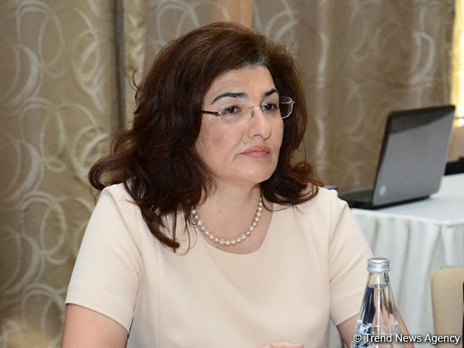 Sevinc Həsənova: Dövlət büdcəsində nəzərdə tutulan azalmaların əhaliyə heç bir təsiri olmayacaq